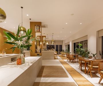 Gallery Img